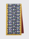 woman's neck scarf