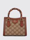 woman's mini bag