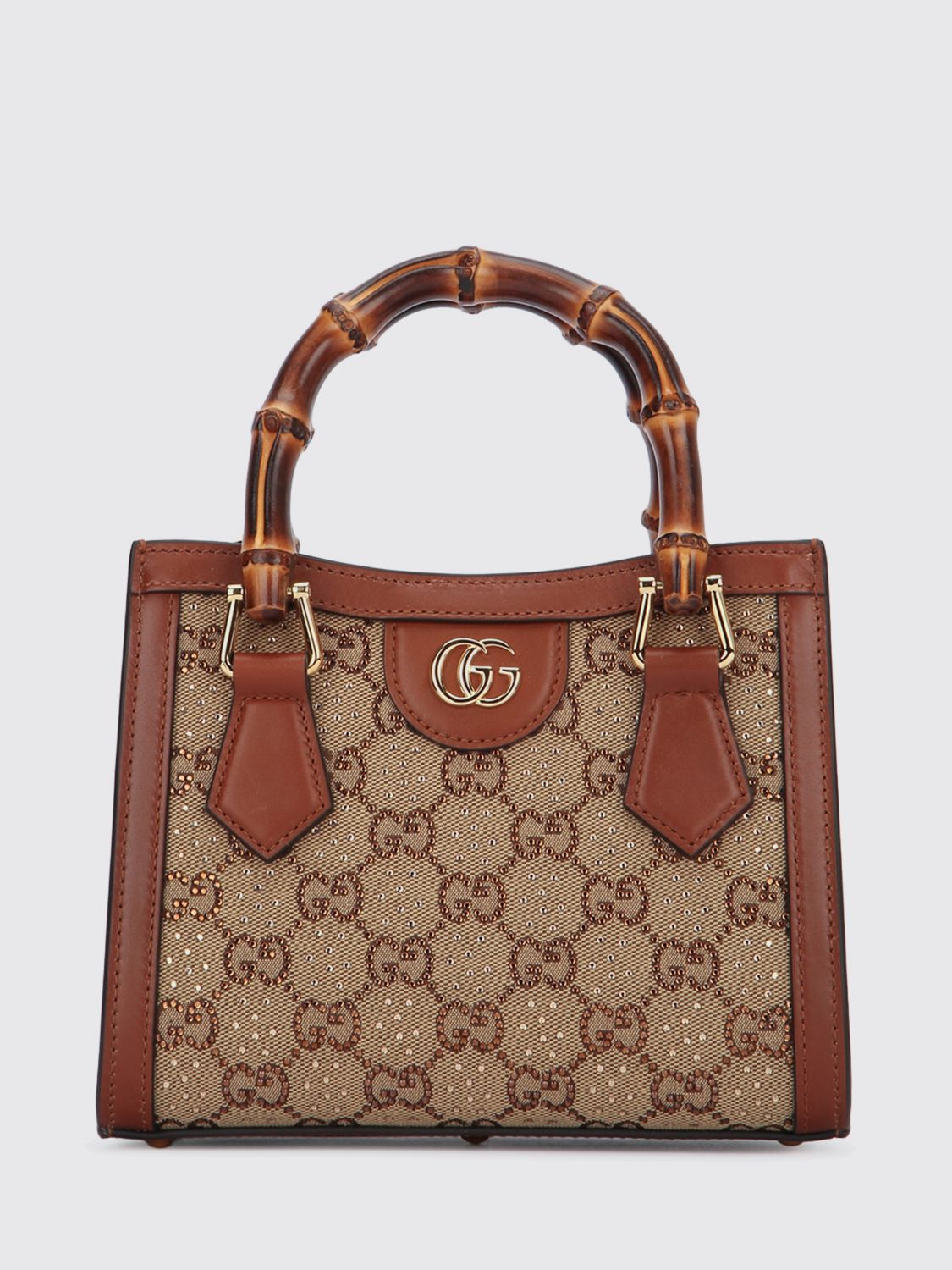 woman's mini bag