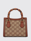 woman's mini bag