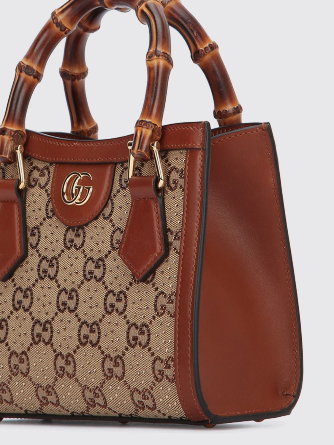woman's mini bag