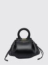 woman's mini bag