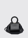 woman's mini bag