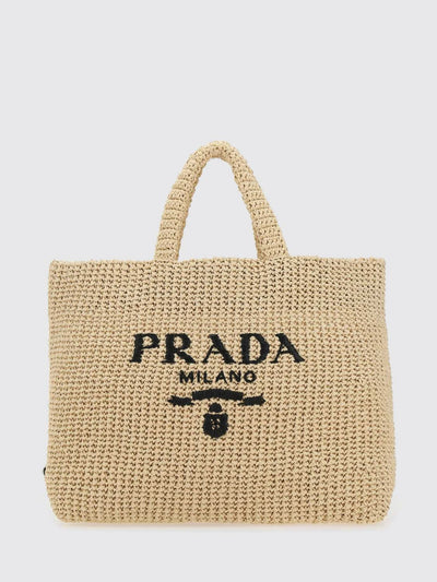 womans tote bag