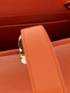 woman's mini bag