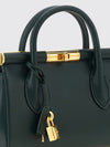 woman's mini bag