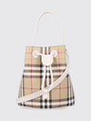 woman's mini bag