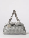 woman's mini bag
