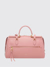 woman's handbag