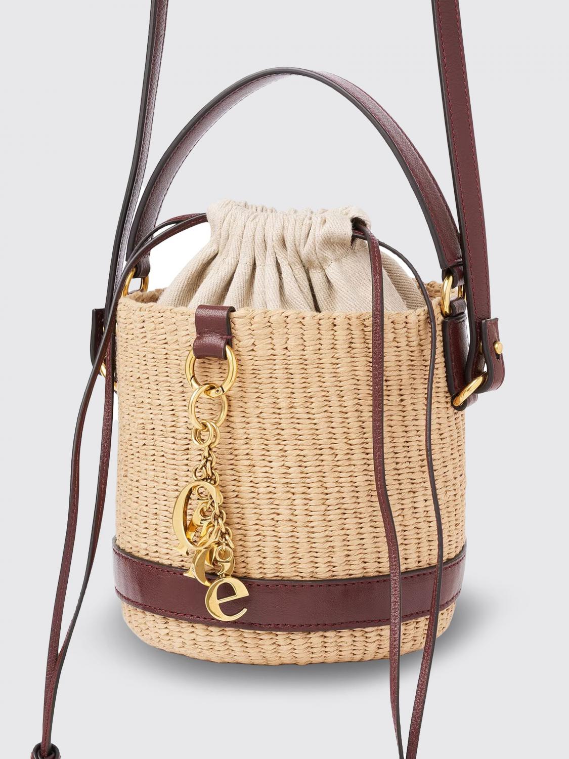 woman's mini bag chloé