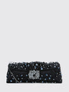 woman's clutch