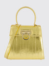 woman's mini bag