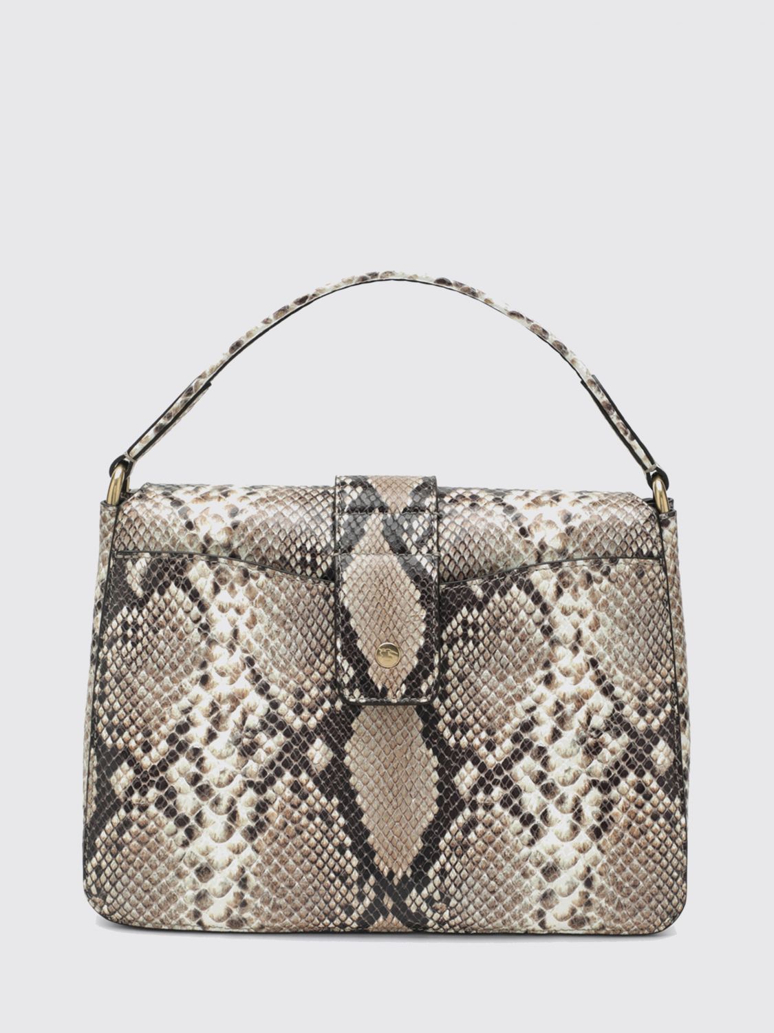woman's handbag