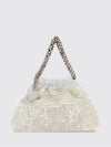 woman's handbag