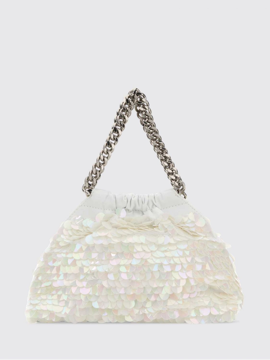 woman's handbag