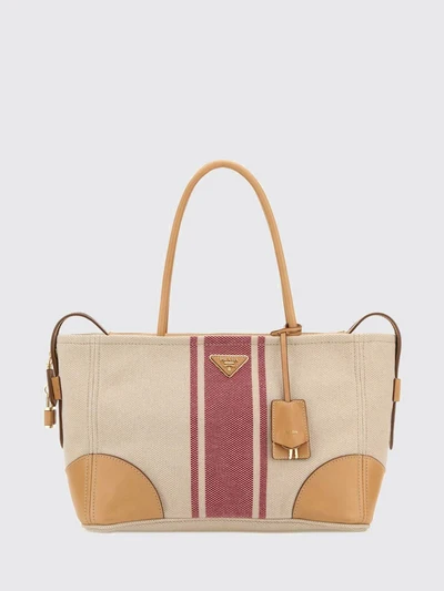 womans tote bag