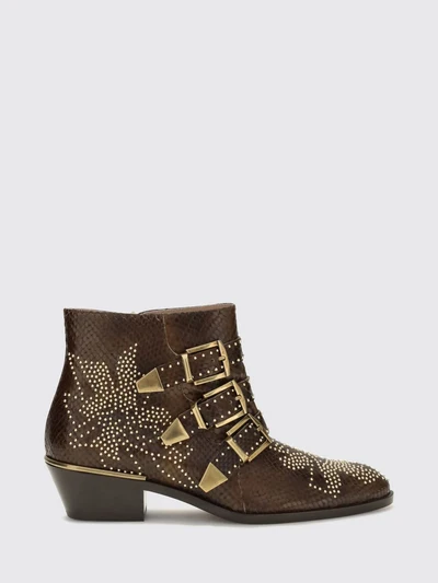 chloé susanna biker ankle boots in calfskin with studs and python embroidery