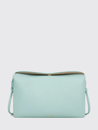 womans mini bag