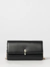 woman's mini bag