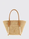woman's tote bag