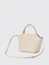 woman's handbag