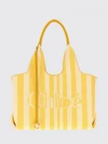 woman's handbag chloé