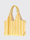 woman's handbag chloé