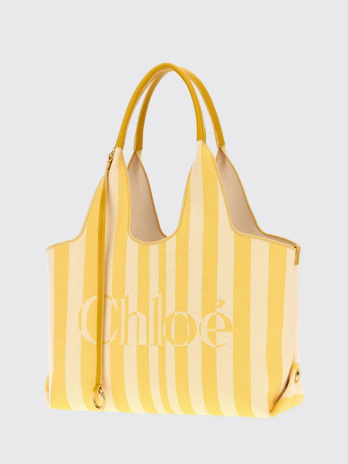 woman's handbag chloé