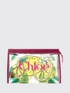 woman's handbag chloé