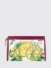 woman's handbag chloé
