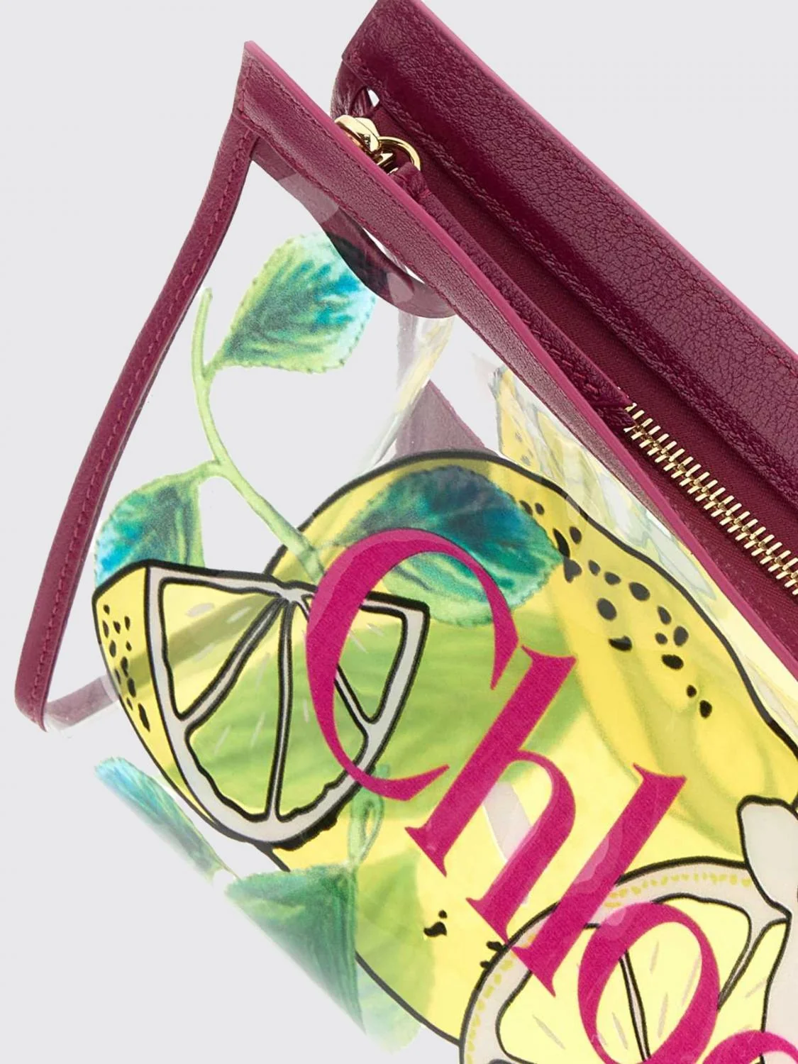 woman's handbag chloé