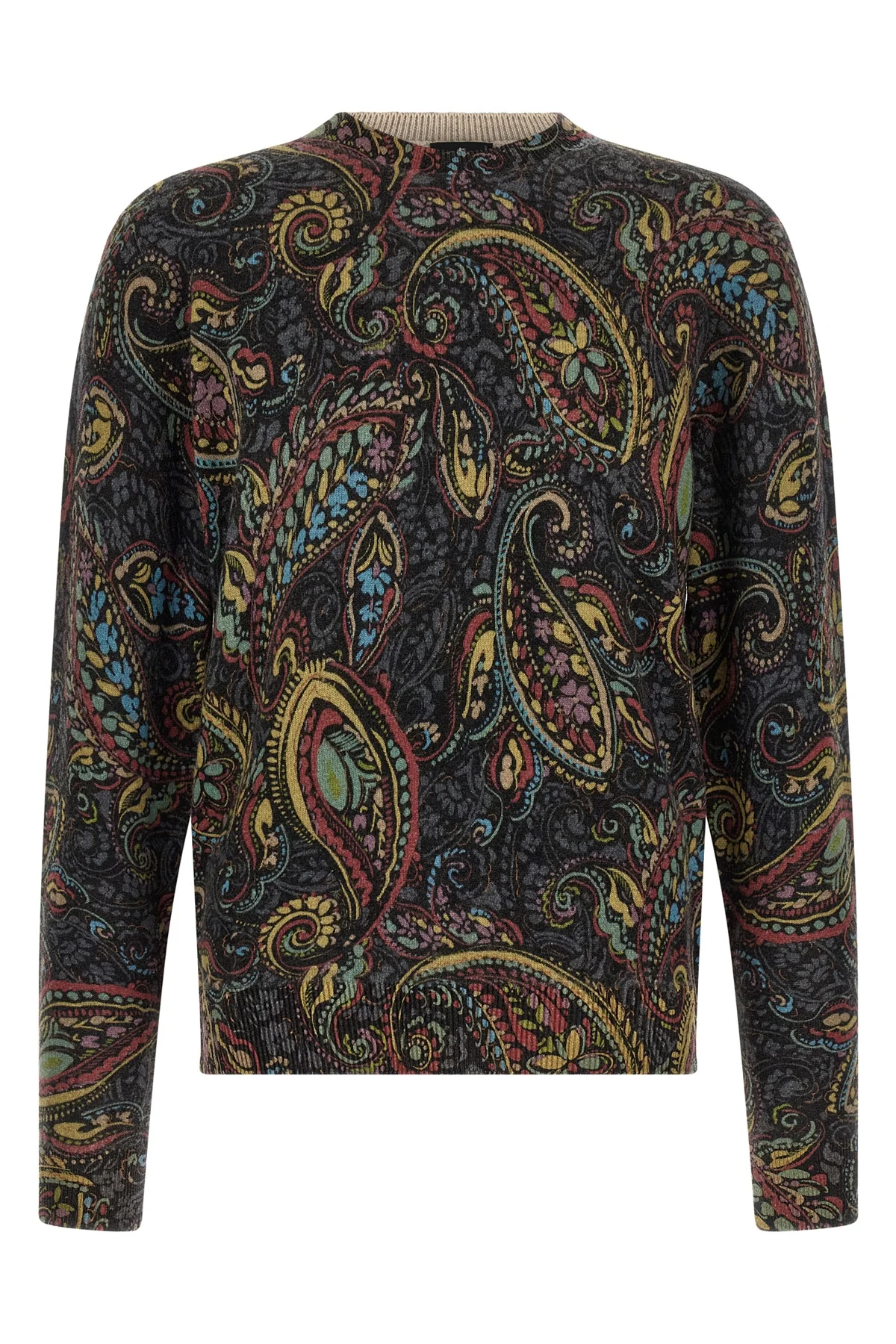 the crewneck sweater etro