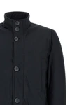 the herno jacket