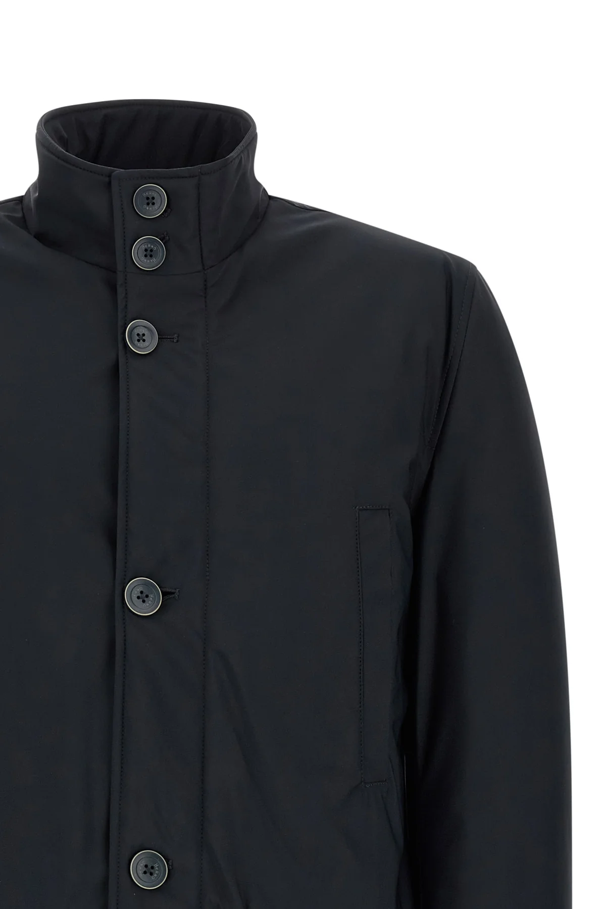 the herno jacket