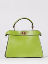 woman's mini bag